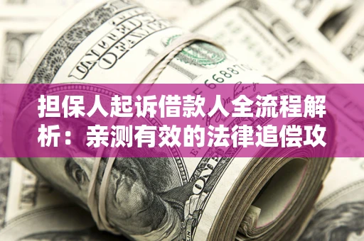 武汉担保人起诉借款人全流程解析：亲测有效的法律追偿攻略