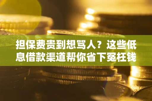 武汉担保费贵到想骂人？这些低息借款渠道帮你省下冤枉钱