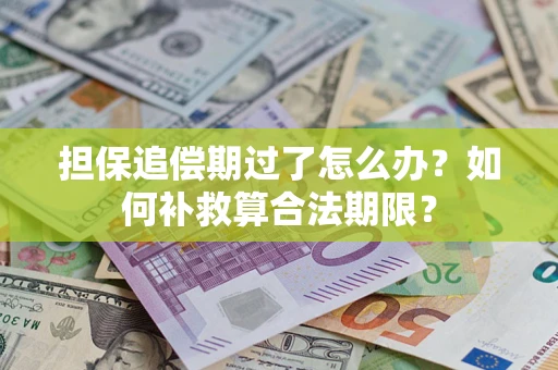 武汉担保追偿期过了怎么办？如何补救算合法期限？