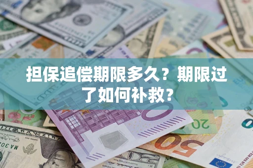 武汉担保追偿期限多久？期限过了如何补救？