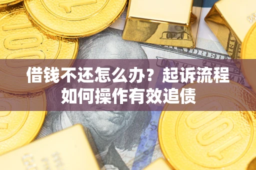武汉借钱不还怎么办？起诉流程如何操作有效追债