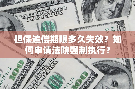 武汉担保追偿期限多久失效？如何申请法院强制执行？