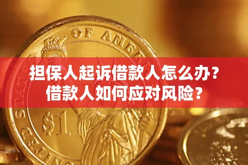 武汉担保人起诉借款人怎么办？借款人如何应对风险？