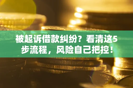 武汉被起诉借款纠纷？看清这5步流程，风险自己把控！