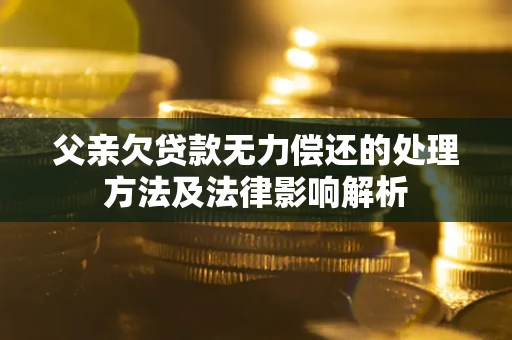 武汉父亲欠贷款无力偿还的处理方法及法律影响解析
