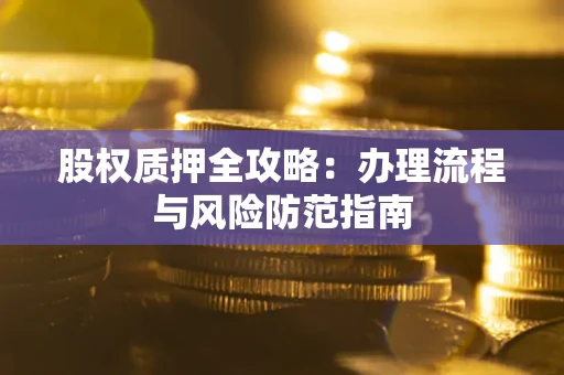 武汉股权质押全攻略：办理流程与风险防范指南
